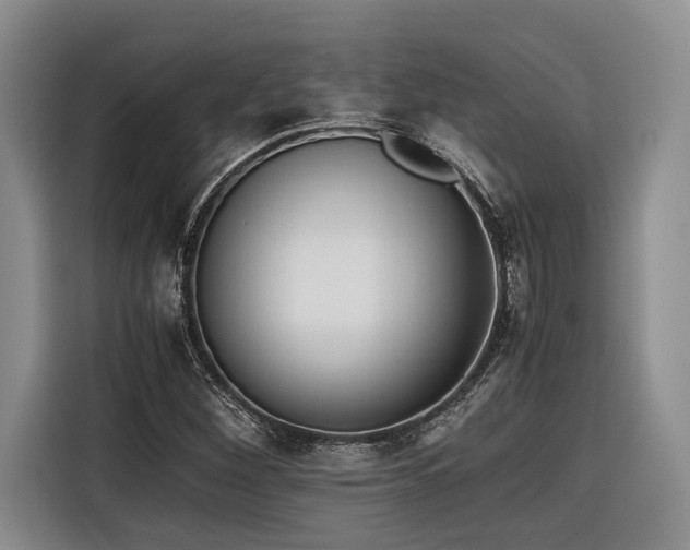 X0000116441260200912081549