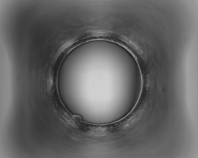 X0000116441261200912081549