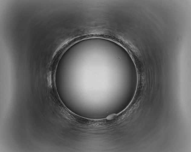 X0000116441262200912081549