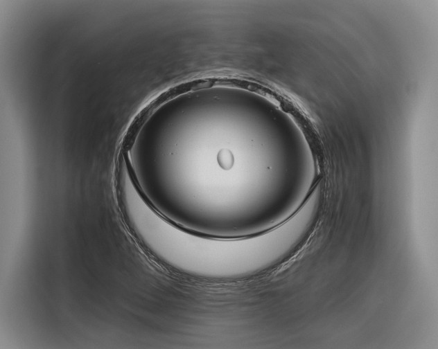 X0000116441264200912081549