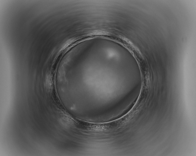 X0000116441266200912081549