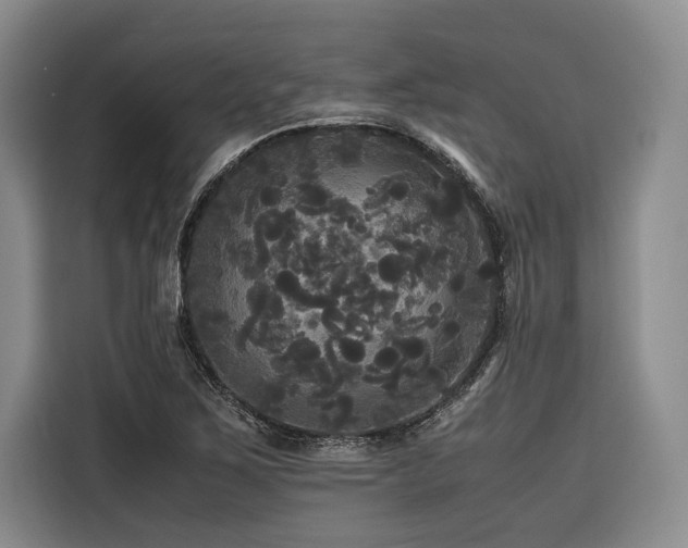 X0000116441267200912081549