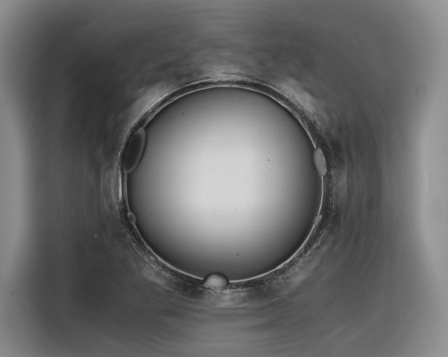 X0000116441269200912081549