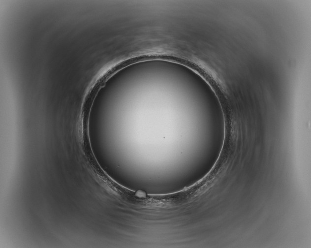 X0000116441270200912081549
