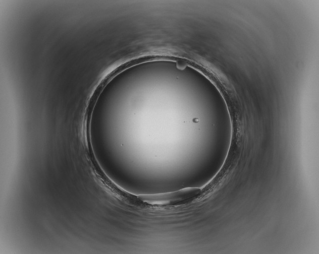 X0000116441272200912081549