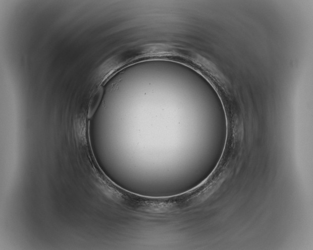 X0000116441273200912081549