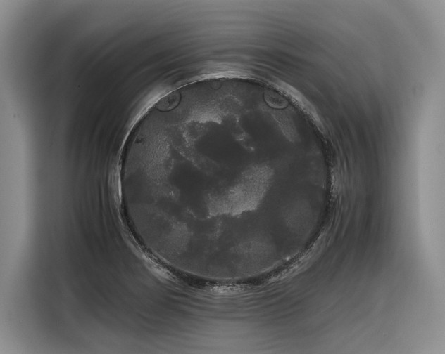 X0000116441274200912081549