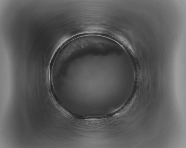 X0000116441275200912081549