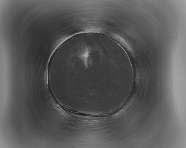 X0000116441276200912081549