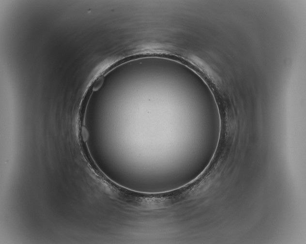 X0000116441277200912081549