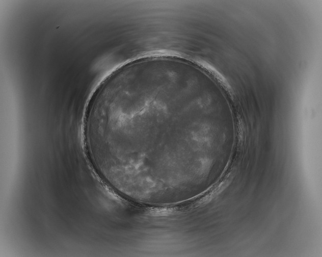 X0000116441278200912081549
