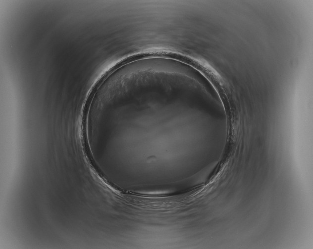 X0000116441279200912081549