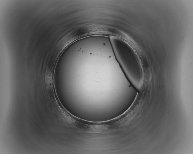X0000116441281200912081549