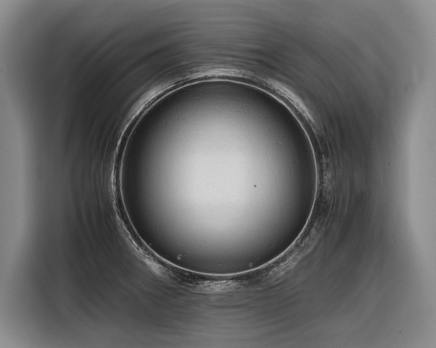 X0000116441282200912081549