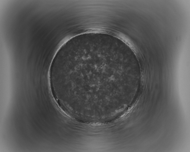 X0000116441283200912081549