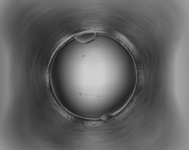 X0000116441284200912081549