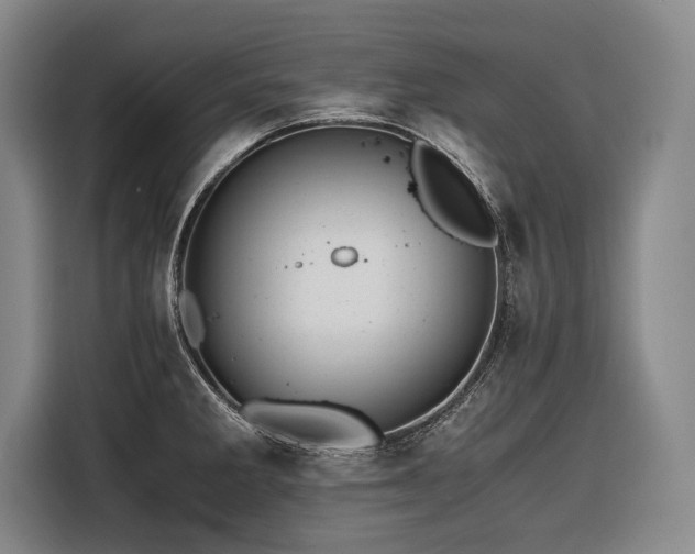 X0000116441285200912081549