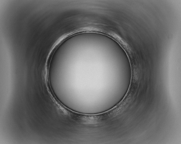 X0000116441286200912081549