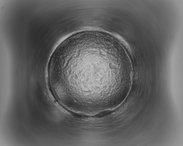 X0000116441287200912081549