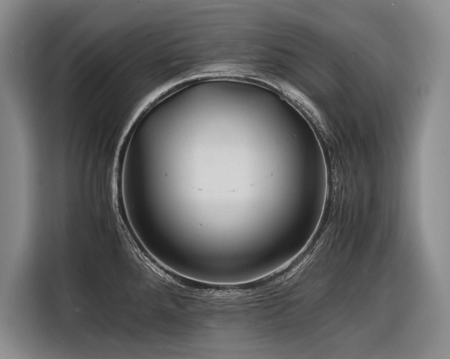 X0000116441288200912081549
