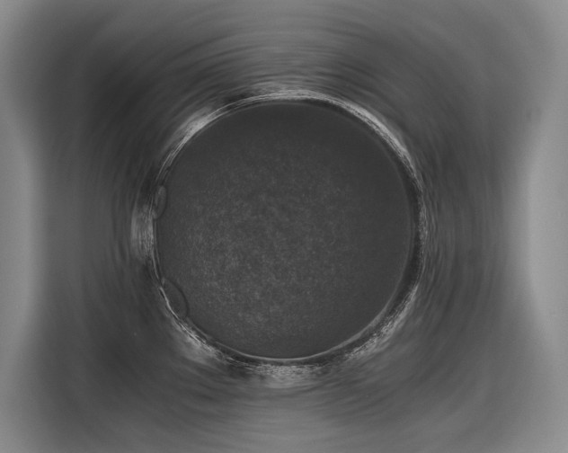 X0000116441289200912081549