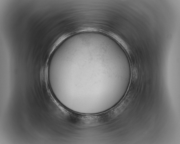 X0000116441290200912081549