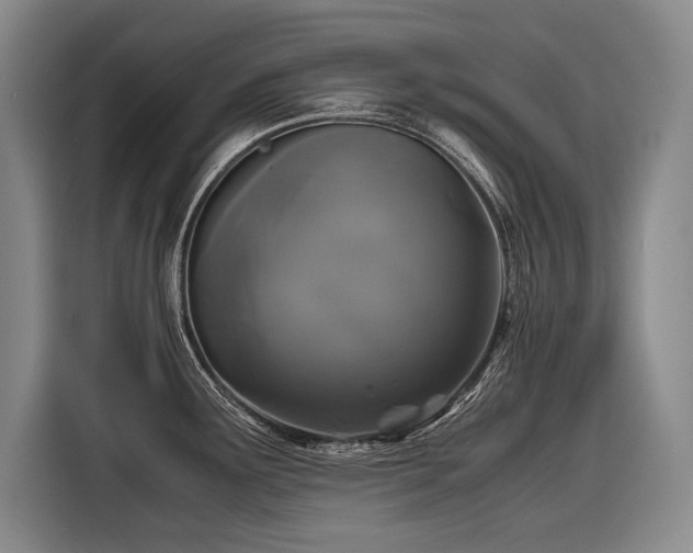X0000116441291200912081549