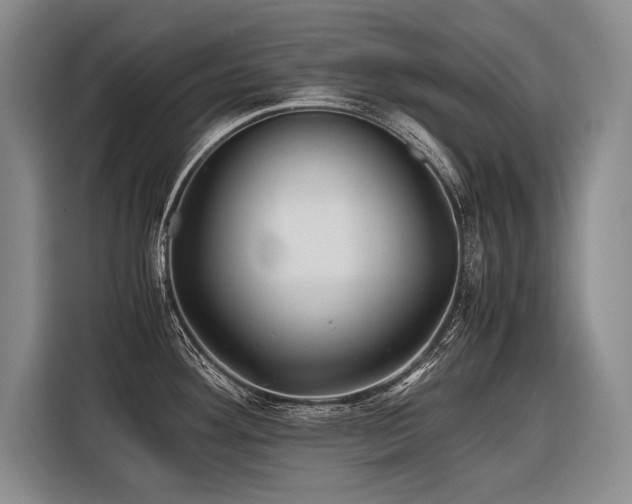 X0000116441292200912081549