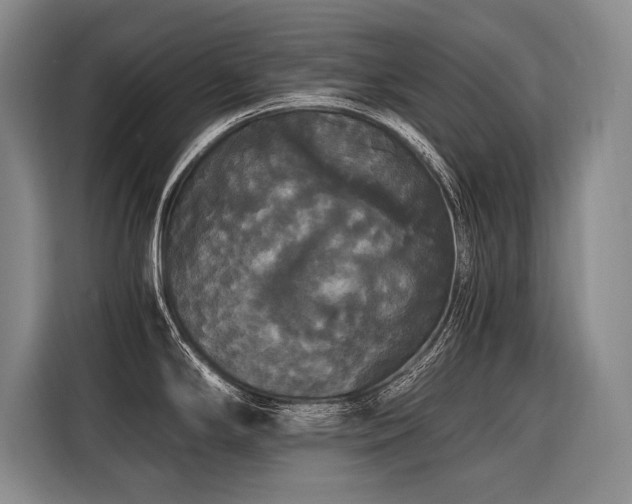 X0000116441294200912081549