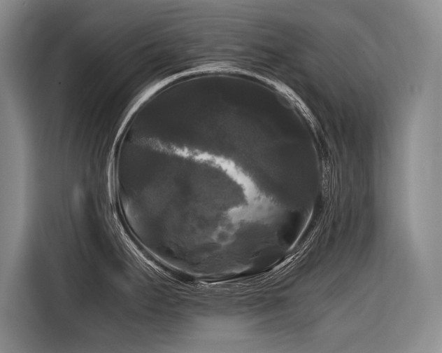 X0000116441295200912081549
