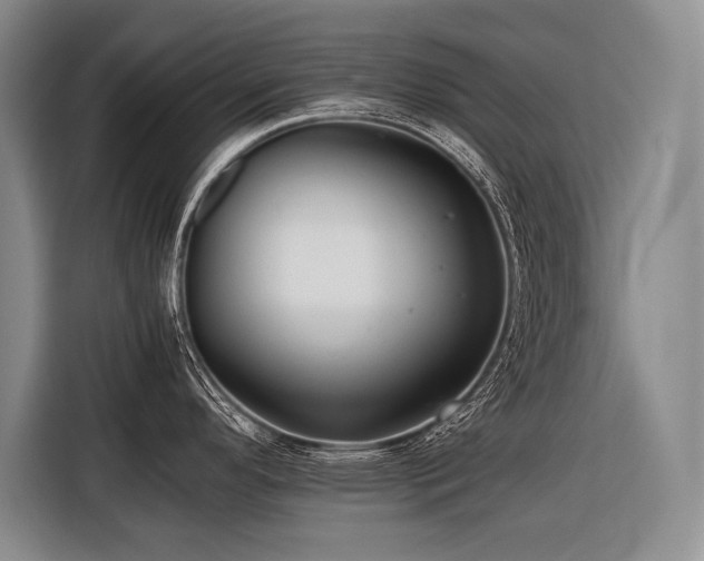 X0000116441296200912081549