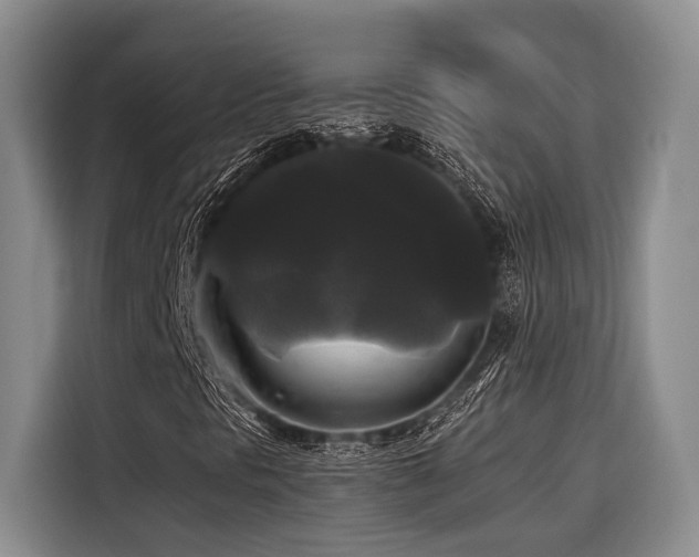 X0000116441297200912081548
