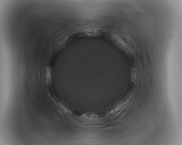 X0000116441298200912081548