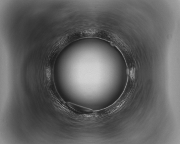 X0000116441299200912081548