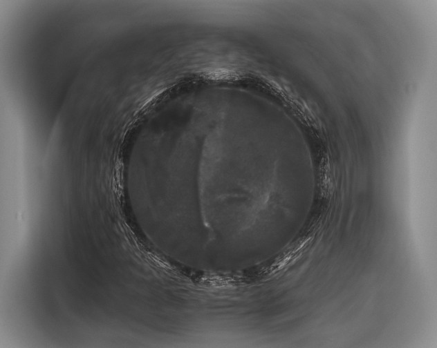 X0000116441301200912081548