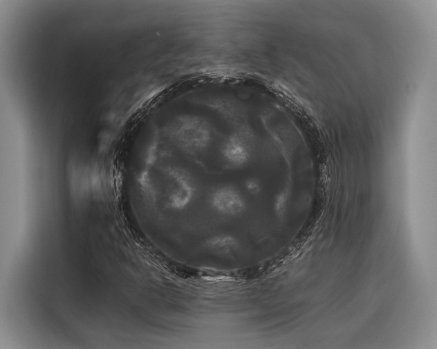 X0000116441302200912081548