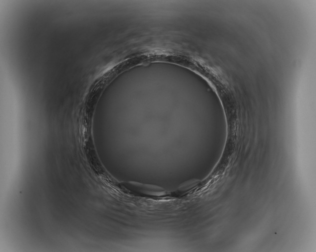 X0000116441303200912081548