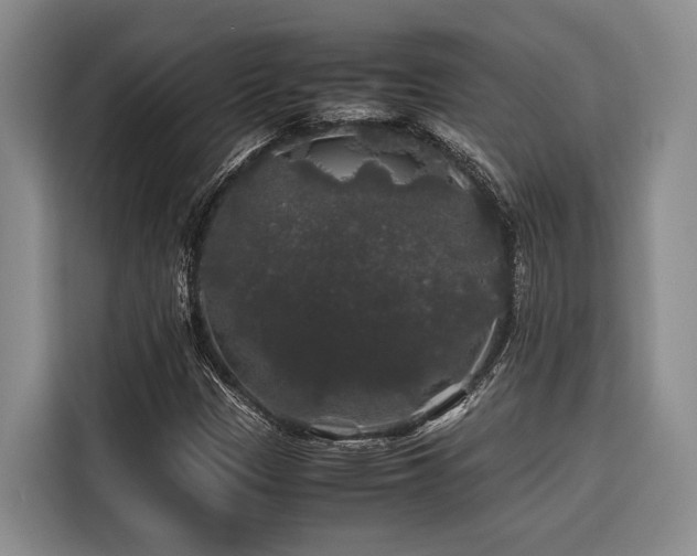 X0000116441305200912081548