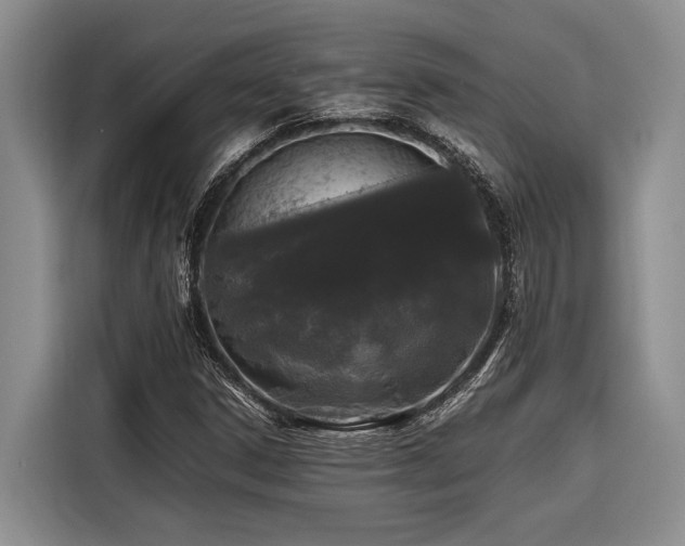 X0000116441306200912081548