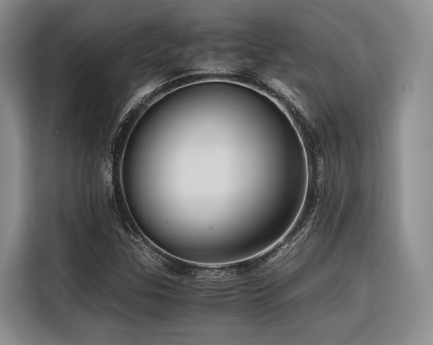 X0000116441307200912081548