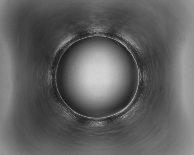 X0000116441309200912081548