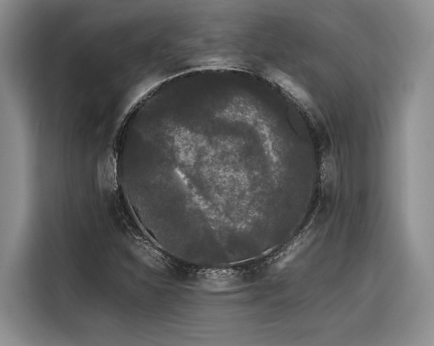 X0000116441310200912081548