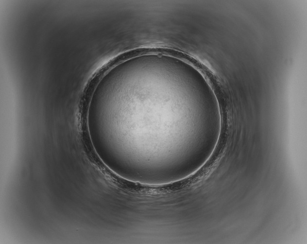 X0000116441311200912081548