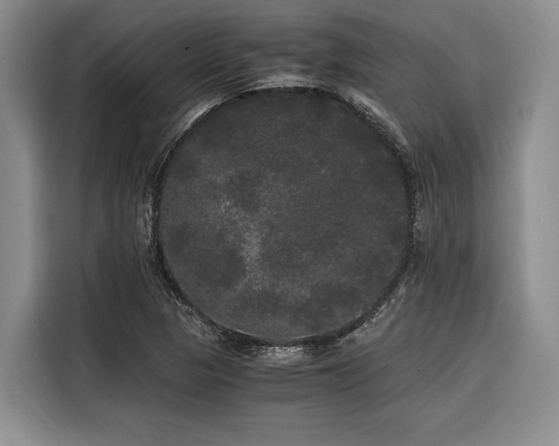 X0000116441313200912081548