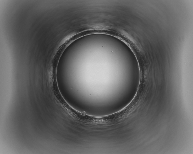 X0000116441315200912081548