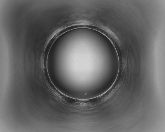 X0000116441318200912081548