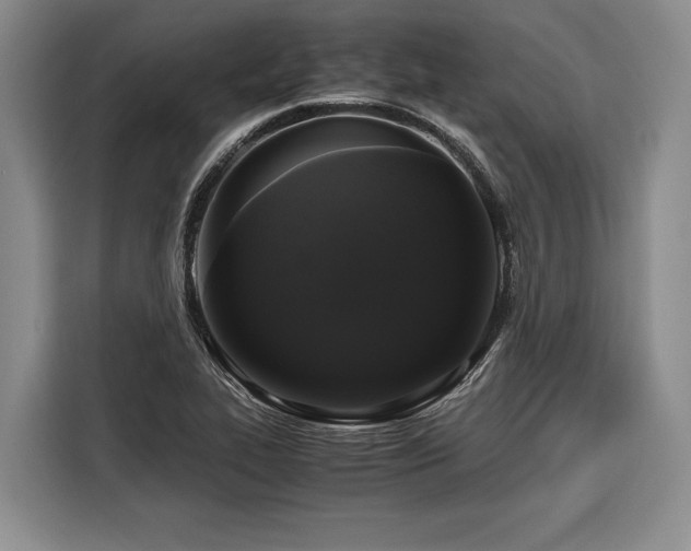 X0000116441319200912081548