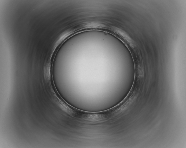 X0000116441322200912081548