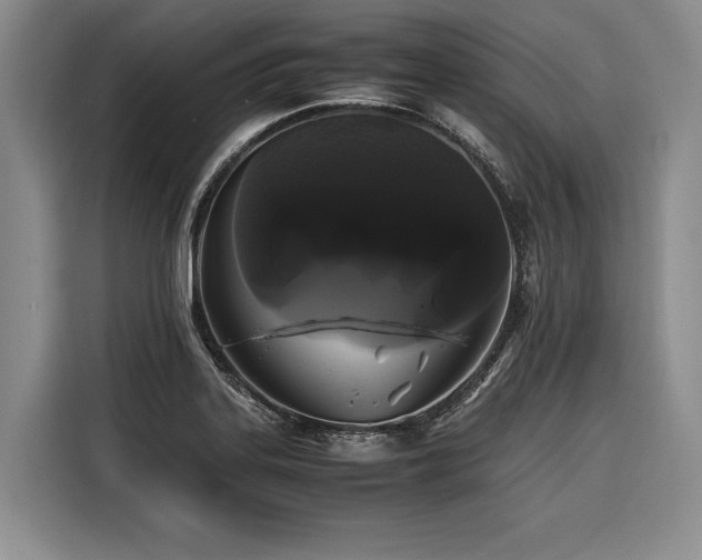 X0000116441323200912081548