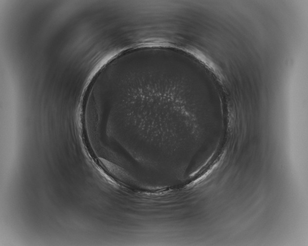 X0000116441325200912081548